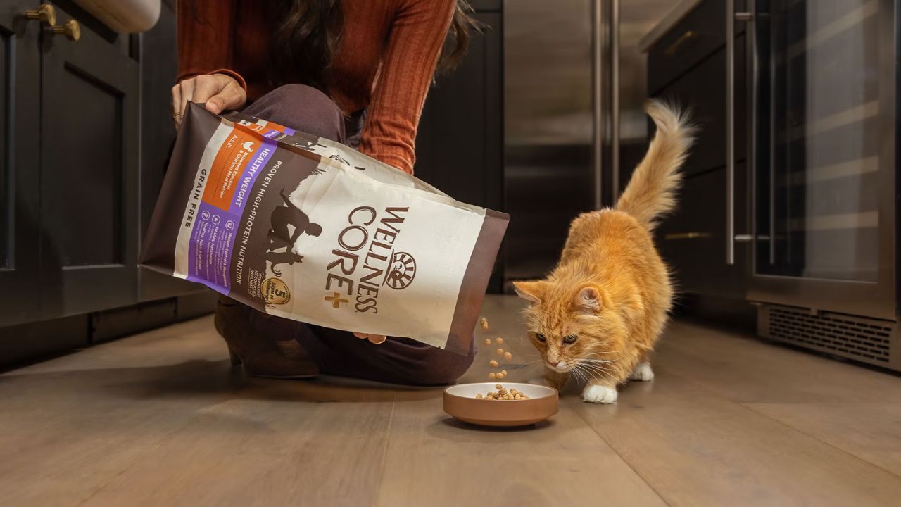Aprende cómo conseguir comida para gatos gratis: Guía en línea